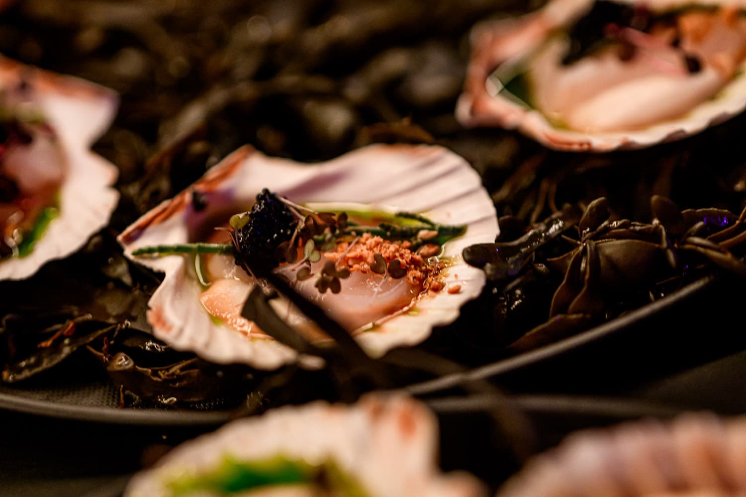 Verfijnde gastronomie bij DOCK 3